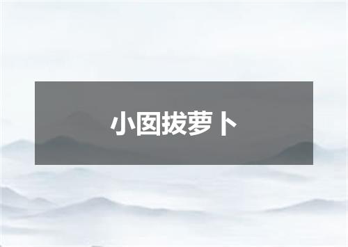 小囡拔萝卜