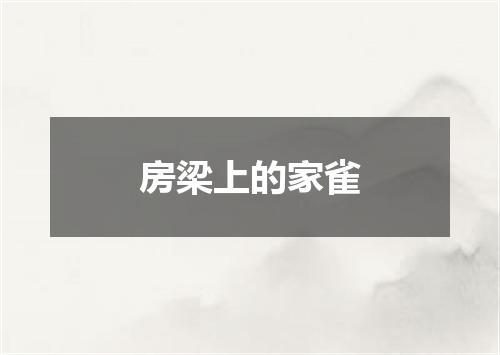 房梁上的家雀