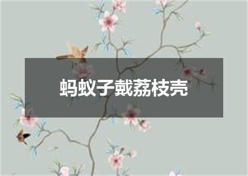 蚂蚁子戴荔枝壳