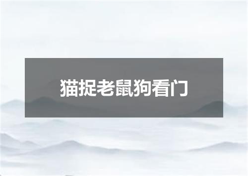 猫捉老鼠狗看门