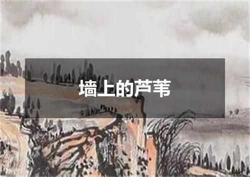 墙上的芦苇
