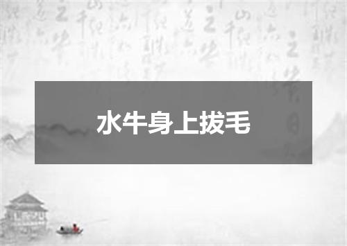 水牛身上拔毛