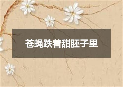 苍蝇跌着甜胚子里