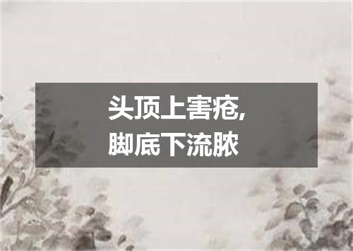 头顶上害疮,脚底下流脓
