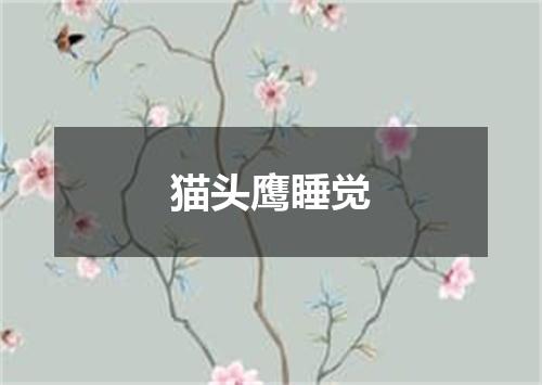 猫头鹰睡觉
