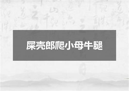 屎壳郎爬小母牛腿