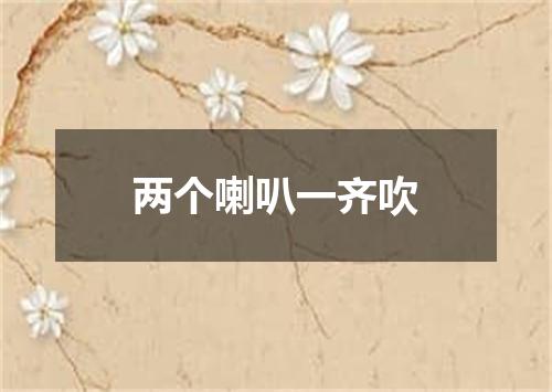 两个喇叭一齐吹