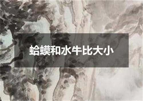 蛤蟆和水牛比大小