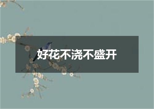 好花不浇不盛开