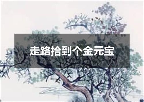 走路拾到个金元宝