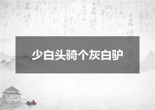 少白头骑个灰白驴