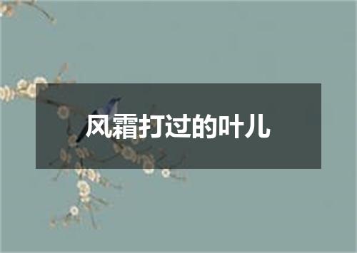风霜打过的叶儿