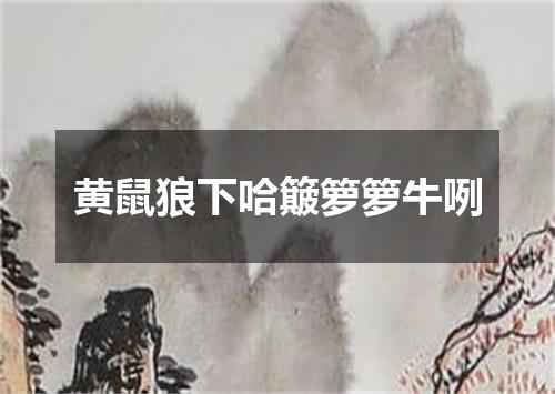 黄鼠狼下哈簸箩箩牛咧