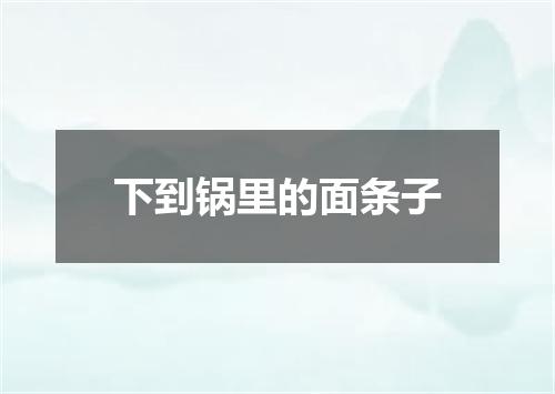 下到锅里的面条子