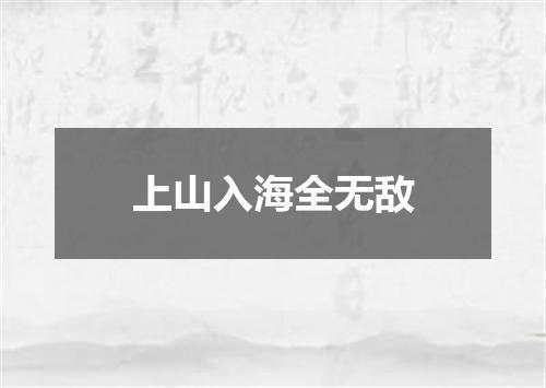 上山入海全无敌