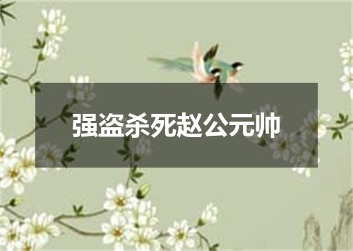 强盗杀死赵公元帅