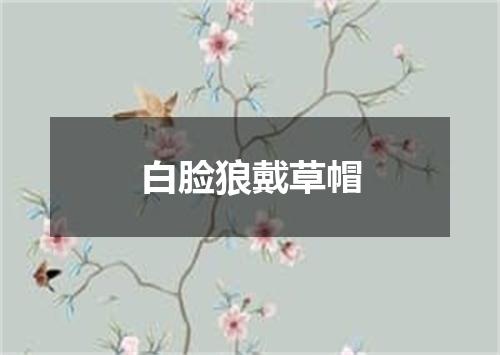 白脸狼戴草帽