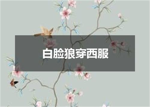 白脸狼穿西服