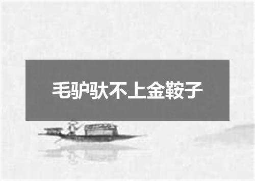 毛驴驮不上金鞍子