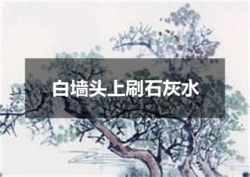白墙头上刷石灰水