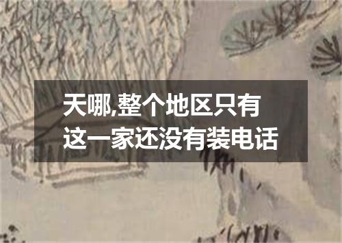 天哪,整个地区只有这一家还没有装电话