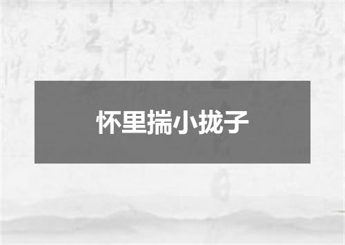 怀里揣小拢子