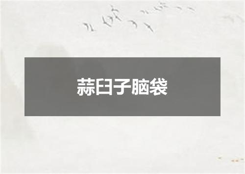 蒜臼子脑袋