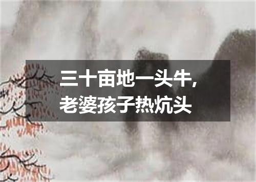 三十亩地一头牛,老婆孩子热炕头