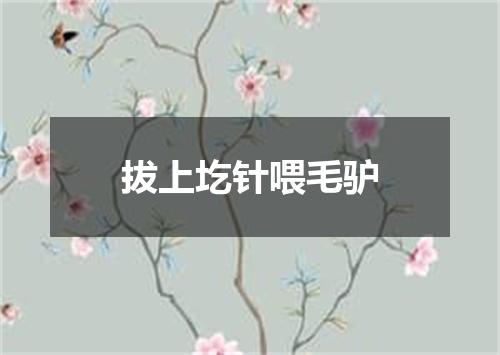 拔上圪针喂毛驴