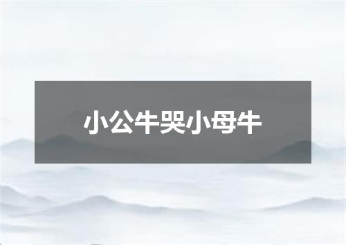 小公牛哭小母牛