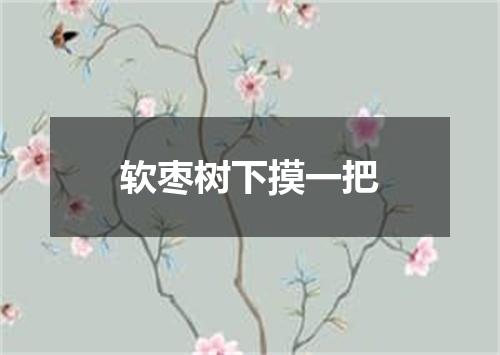 软枣树下摸一把