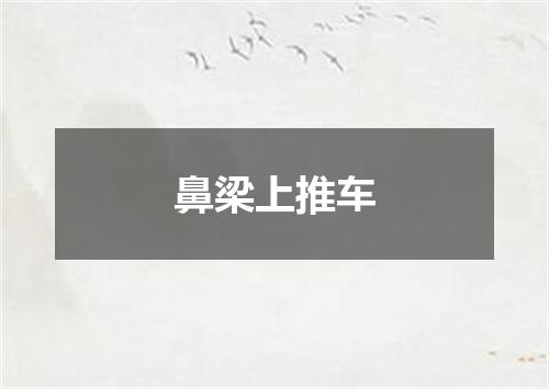 鼻梁上推车