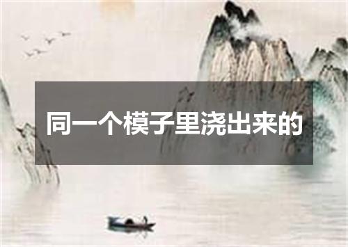 同一个模子里浇出来的