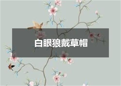 白眼狼戴草帽