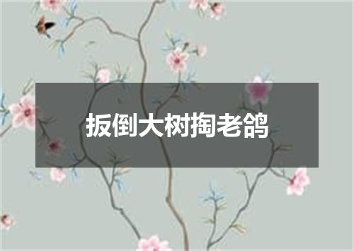 扳倒大树掏老鸽
