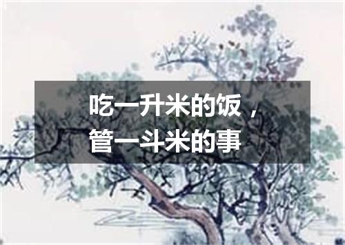 吃一升米的饭，管一斗米的事
