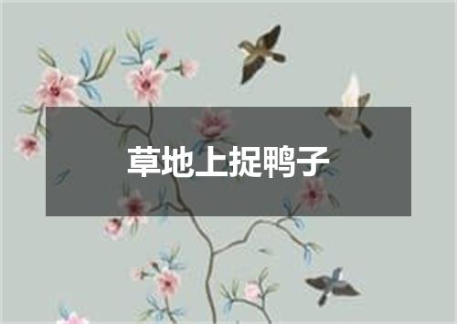 草地上捉鸭子