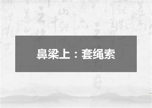 鼻梁上：套绳索