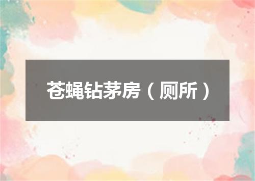 苍蝇钻茅房（厕所）
