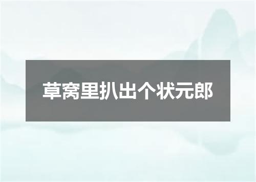 草窝里扒出个状元郎