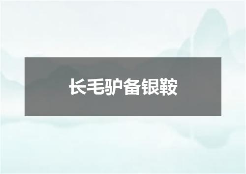 长毛驴备银鞍