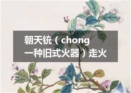 朝天铳（chong一种旧式火器）走火