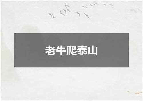 老牛爬泰山