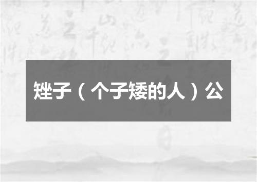 矬子（个子矮的人）公