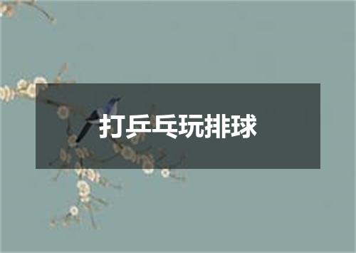 打乒乓玩排球