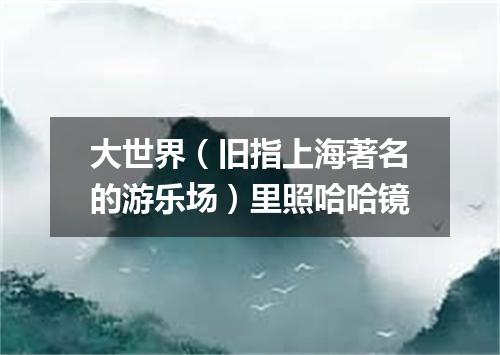 大世界（旧指上海著名的游乐场）里照哈哈镜