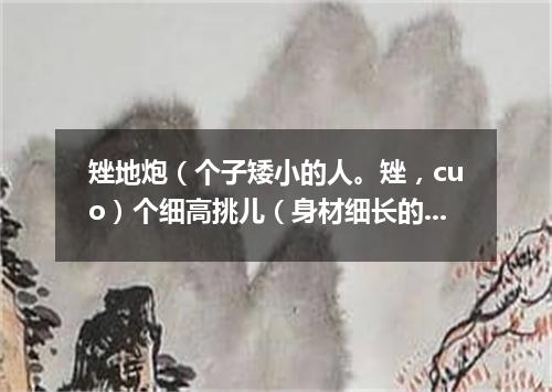 矬地炮（个子矮小的人。矬，cuo）个细高挑儿（身材细长的人）