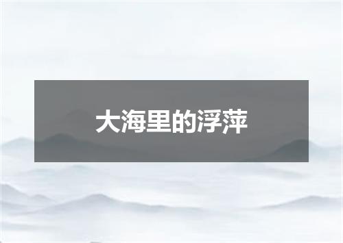 大海里的浮萍