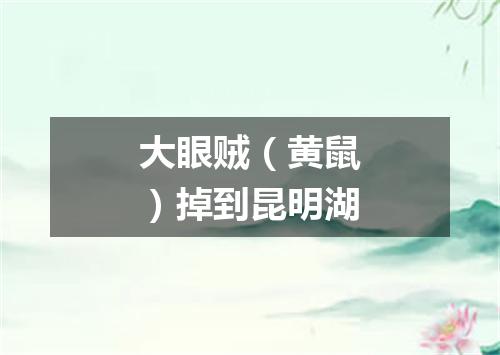 大眼贼（黄鼠）掉到昆明湖