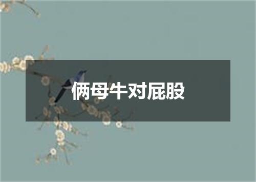 俩母牛对屁股